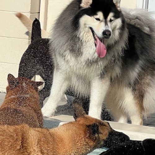 placeholder image box