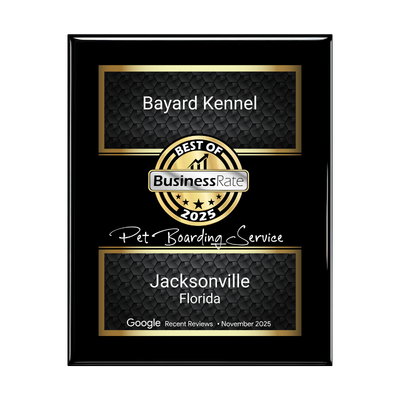 business award plaque