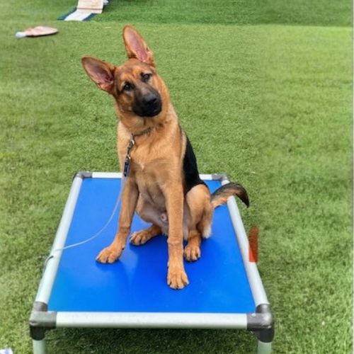 placeholder image box